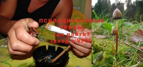 индика Абинск