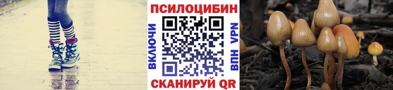 Псилоцибиновые грибы Psilocybine cubensis  Талдом 